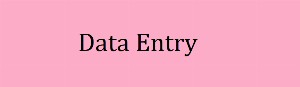 data entry_1571676158.png
